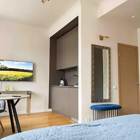 Modern Center Studio Apartment Riga Esterno foto